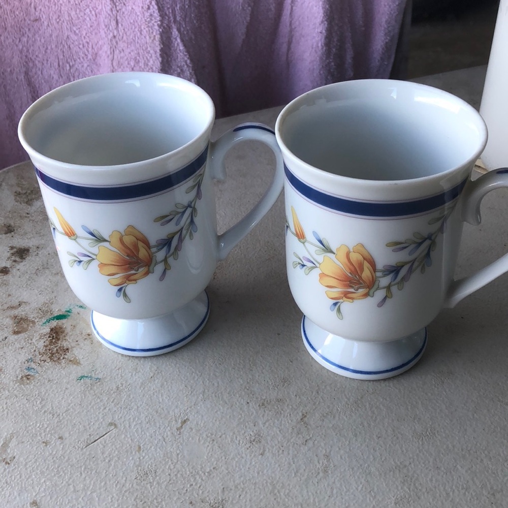Princess house cups